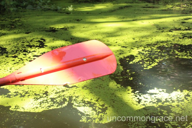 UG Paddle