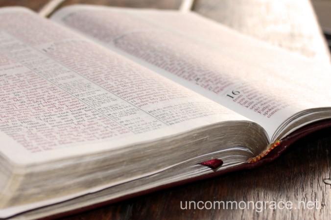 Thoughtful Reads ESV Translation