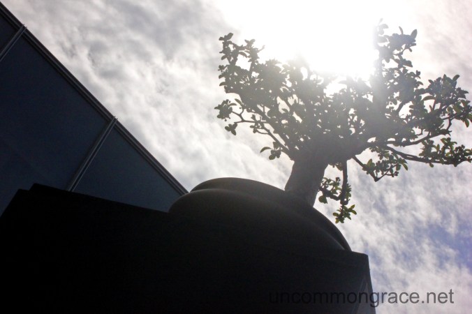 Thoughful Reads The Jesus Creed